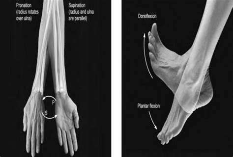 The Connection Between Foot Alignment and Knee Pain​
