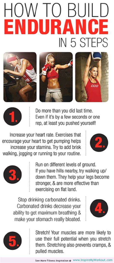 Arm Workouts: Building Muscle and Endurance