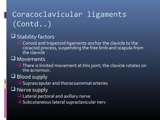 Ligaments:TheAnchorsofStability