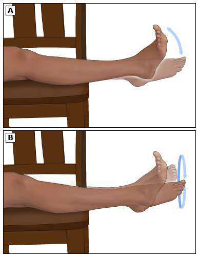 3.AnkleCircles