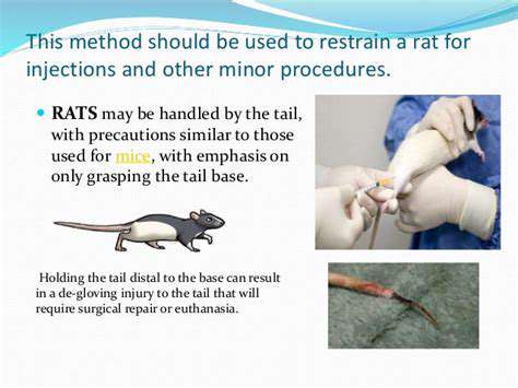 The Role of Hands in Veterinary Medicine