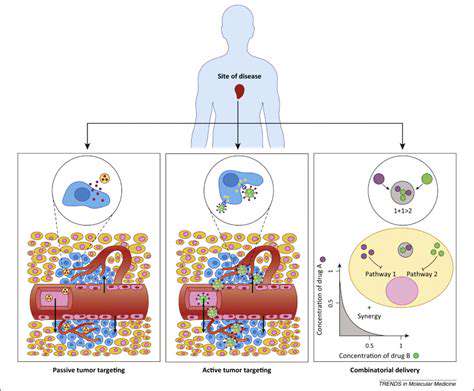 TargetingSpecificAreasforEnhancedCirculation