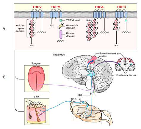 Pain Detection: The Hand's Defense Mechanism