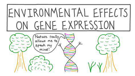 The Role of Genetics in Hand and Arm Development