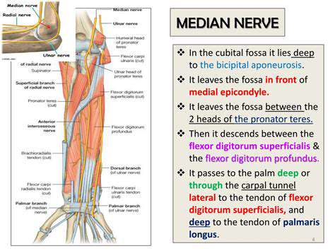 IntroductiontotheUlnarNerve
