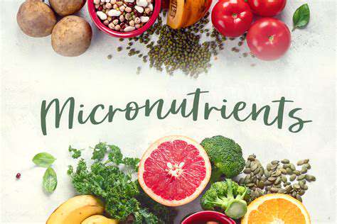 MicronutrientsandHandMuscleHealth:AHolisticApproach