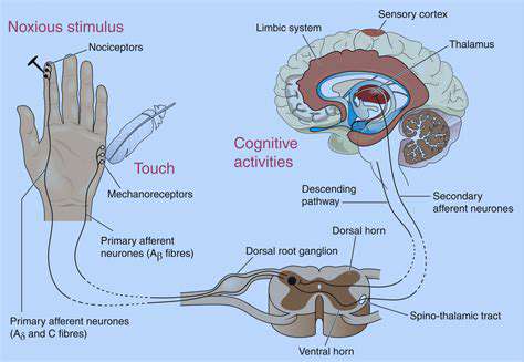 The Impact of Aging on Hand Function