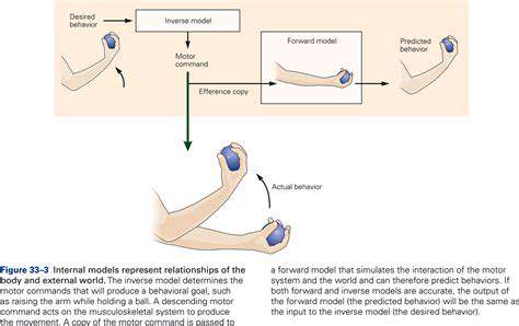 TheNeuroscienceofGrasping:HowtheBrainControlsHandMovement