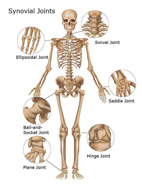 Biomechanics of Hand Movements: An In Depth Study