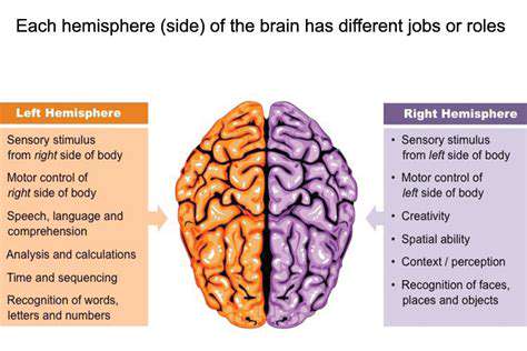 BrainLateralizationandHandedness