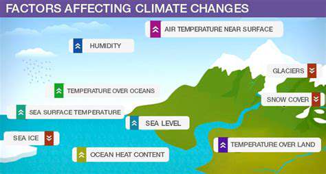 Why Hand Temperature Affects Comfort Levels