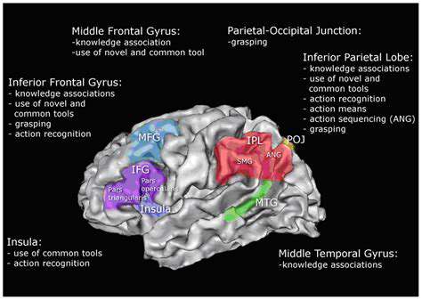 NeurologicalCorrelates:MappingtheBrain'sRole
