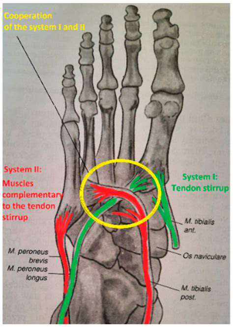 The Connection Between Foot Posture and Lower Back Pain​
