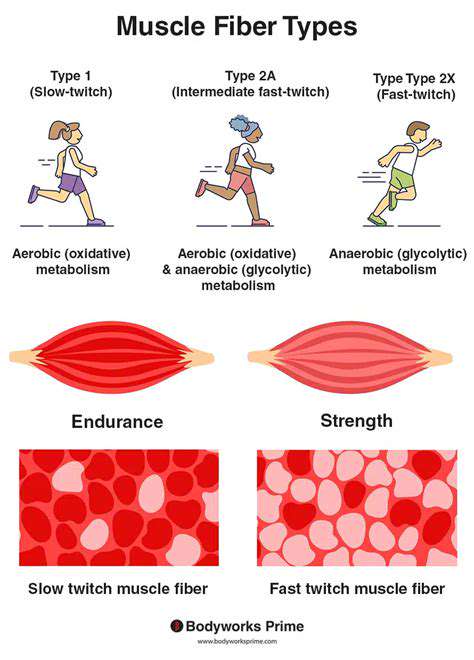 The Science of Hand Strength and Grip Endurance