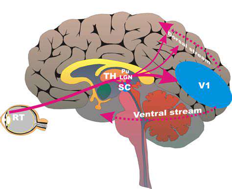 The Science Behind Hand Eye Coordination